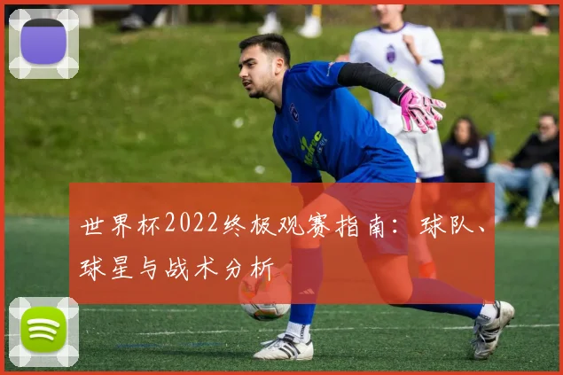 世界杯2022终极观赛指南：球队、球星与战术分析