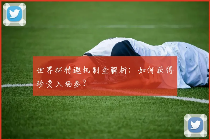 世界杯特邀机制全解析：如何获得珍贵入场券？